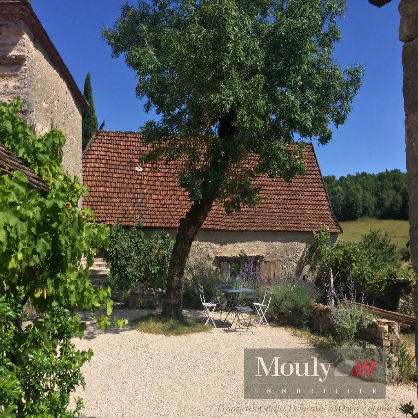 vente AU COEUR DU PARC REGIONAL DES CAUSSES DU QUERCY -ENSEMBLE