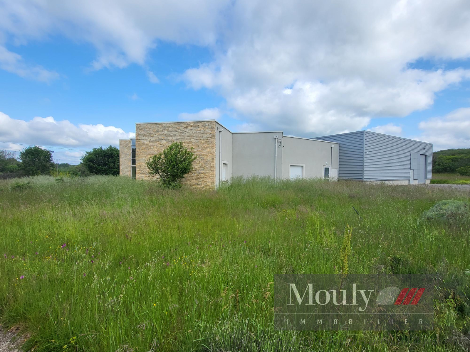 Image_, Bureaux, Crayssac, ref :4538
