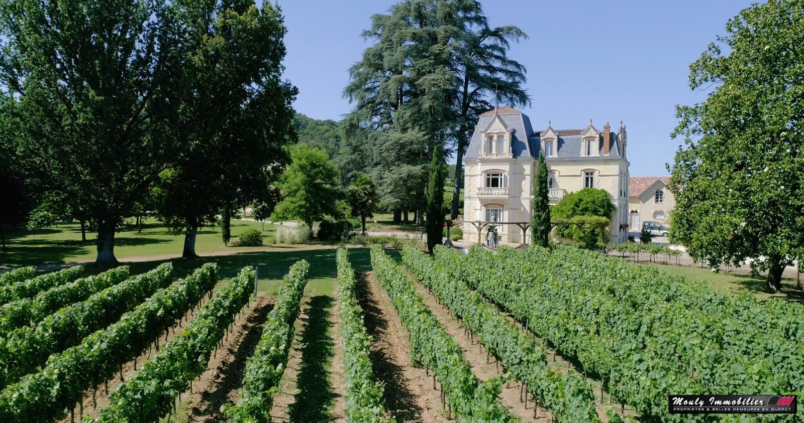 Image_, Chateau/Vignoble, Cahors, ref :3924C