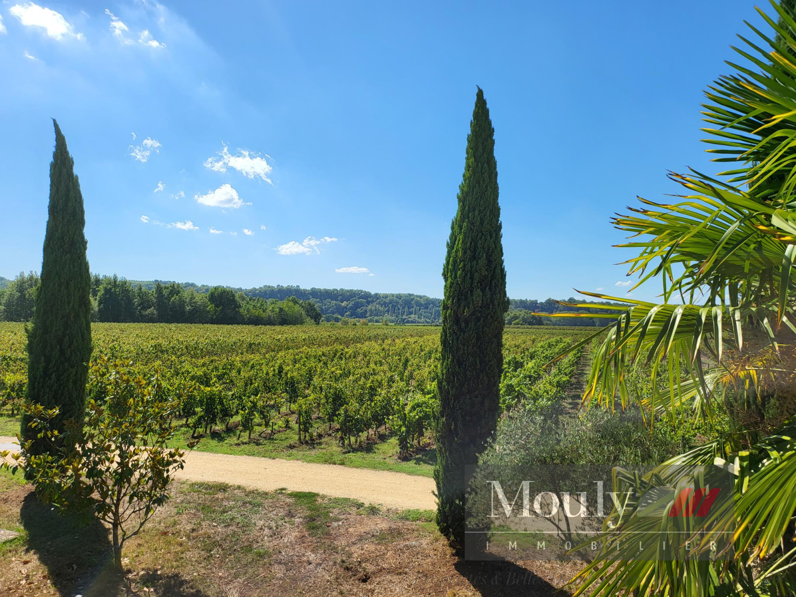 Image_, Chateau/Vignoble, Cahors, ref :4376