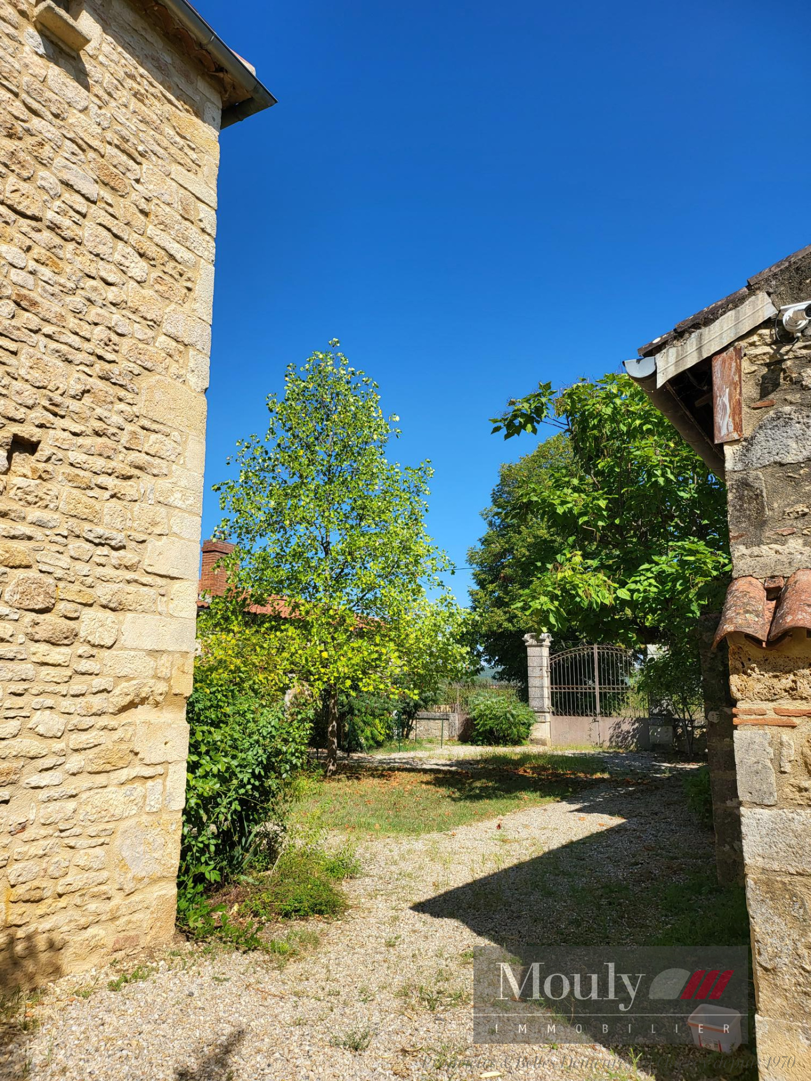 Image_, Chateau/Vignoble, Cahors, ref :4376