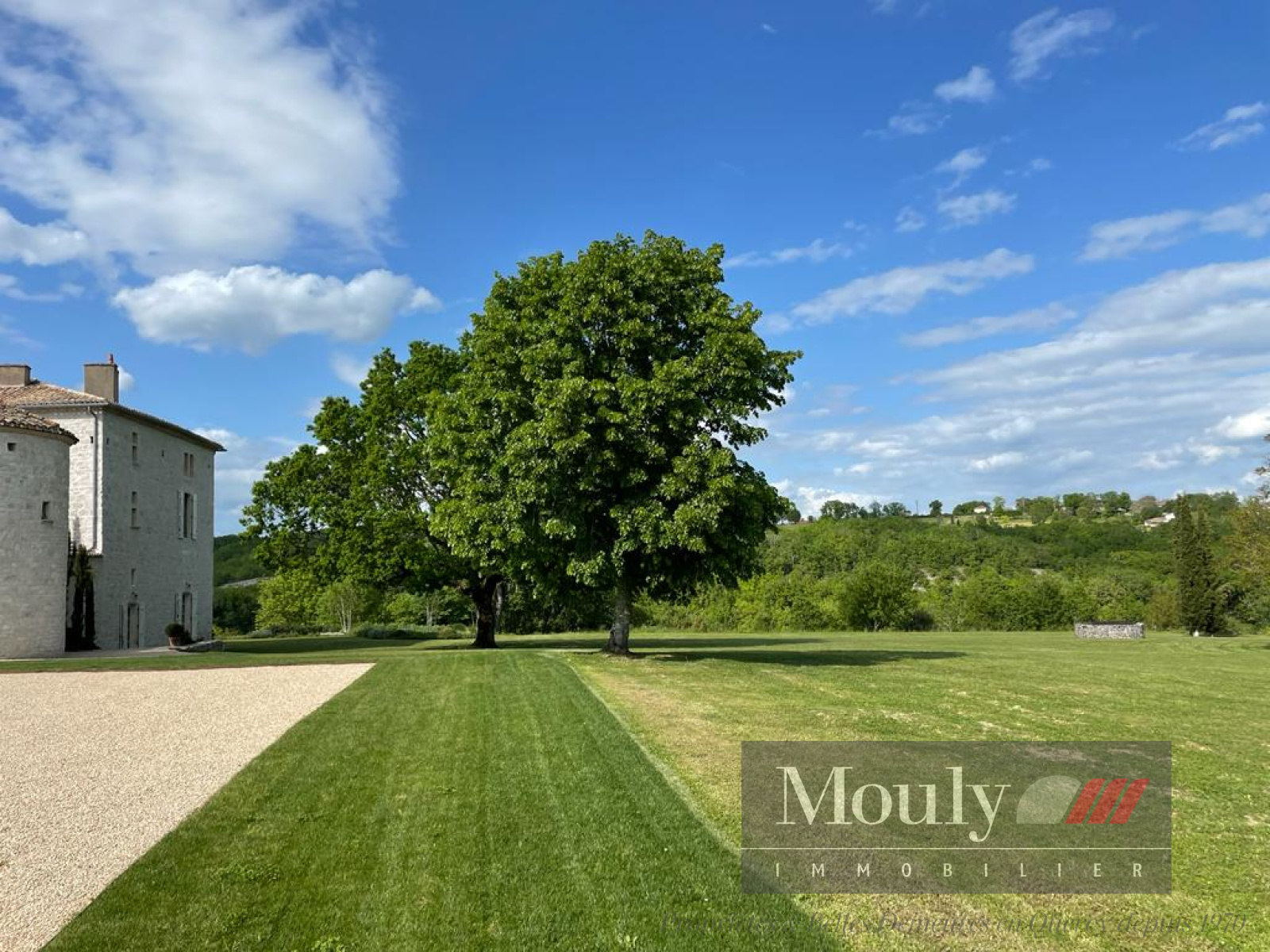 Image_, Chateau/Vignoble, Montcuq, ref :4522