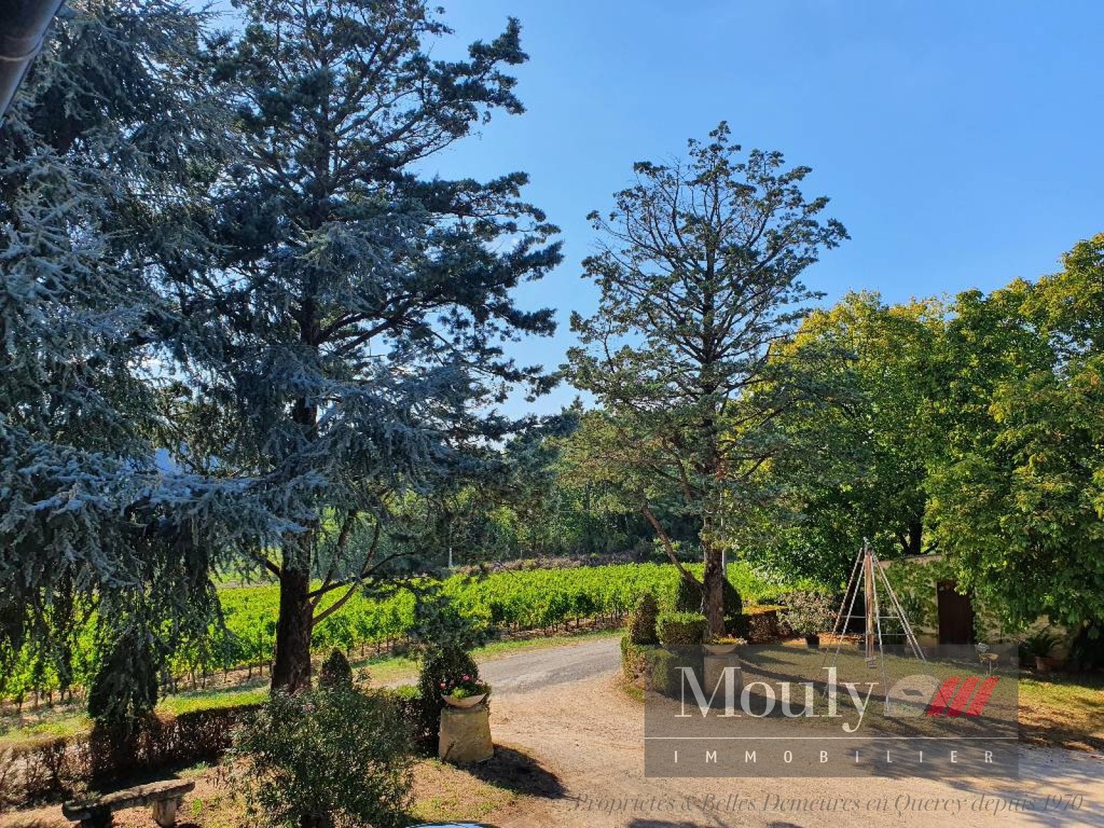 Image_, Chateau/Vignoble, Anglars-Juillac, ref :900VI