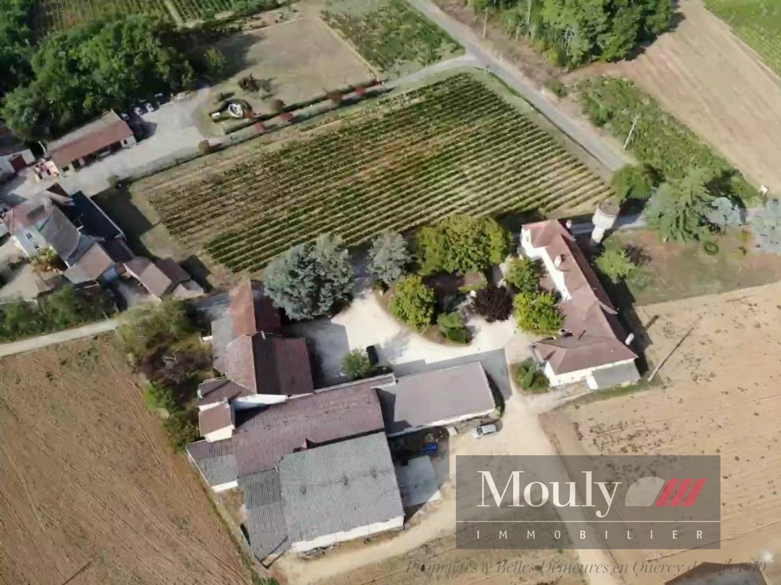 Image_, Chateau/Vignoble, Anglars-Juillac, ref :900VI